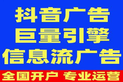 网络推广秘籍：竞价排名成功案例集锦